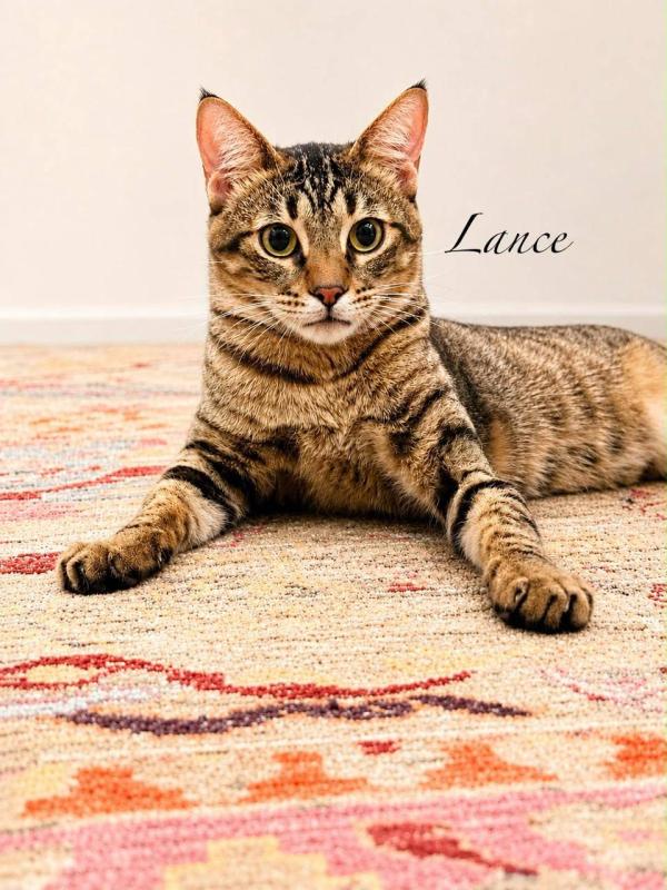 Lance