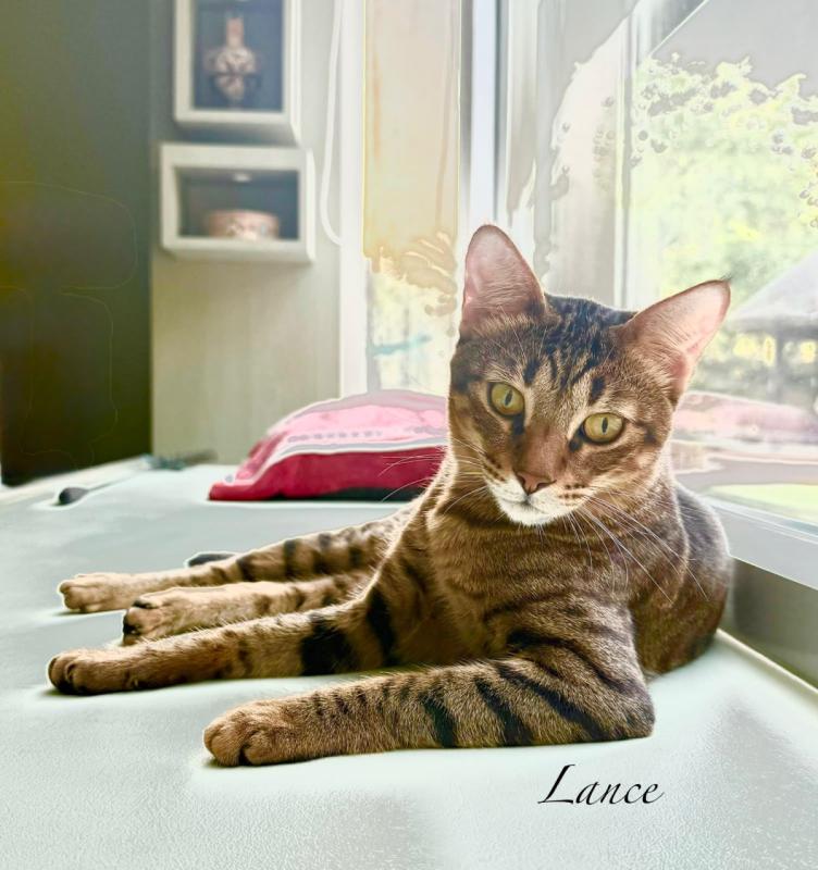 Lance
