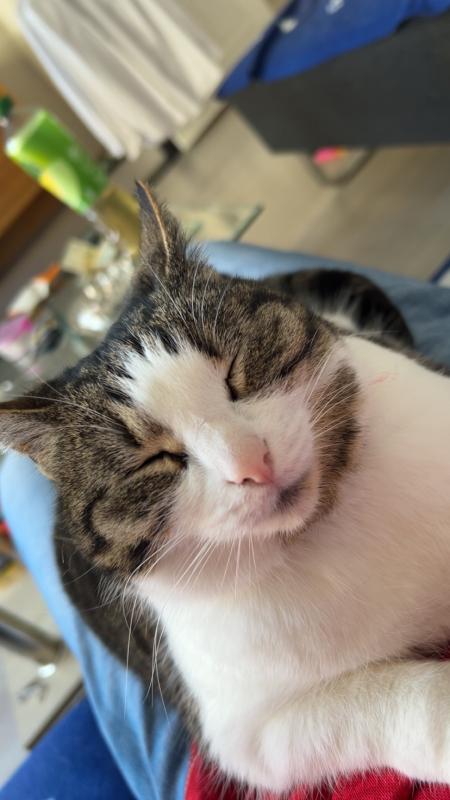Marley