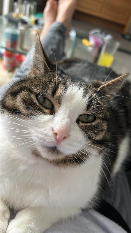 Marley