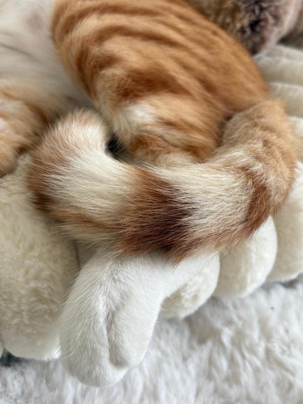 Ginger Boi