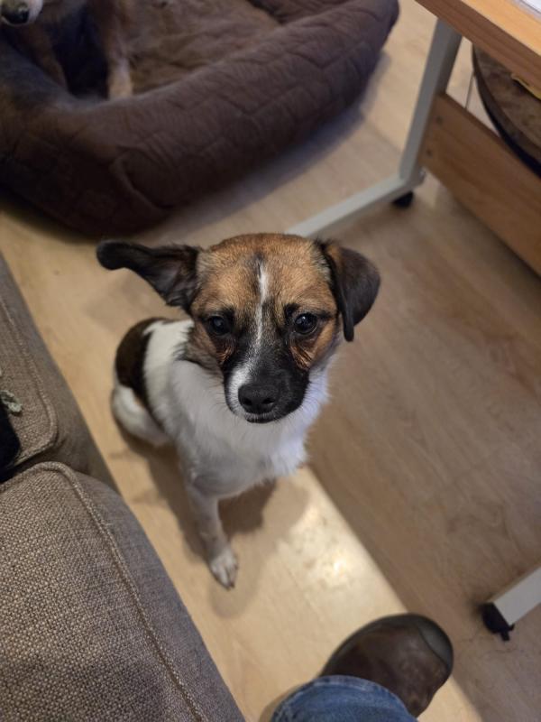 Lilo