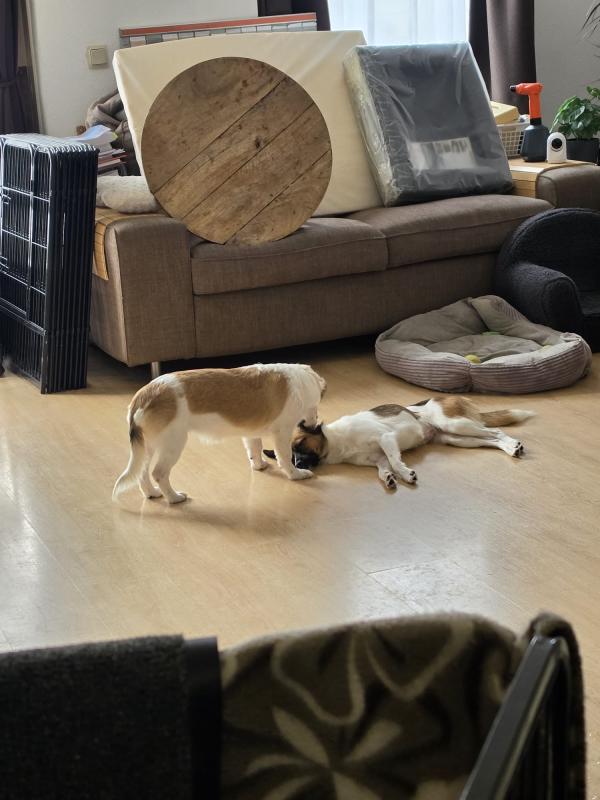 Lilo