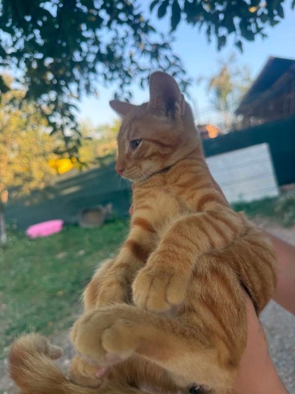 Jax