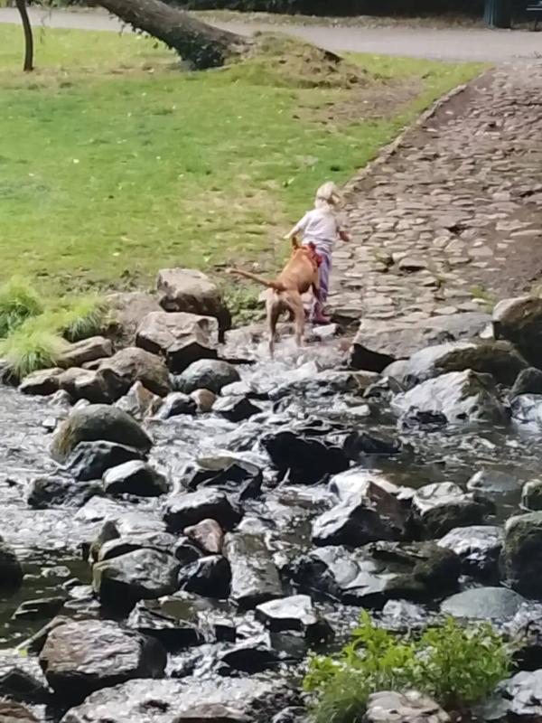 Radjan