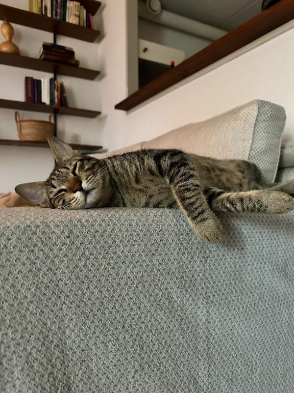 Omar