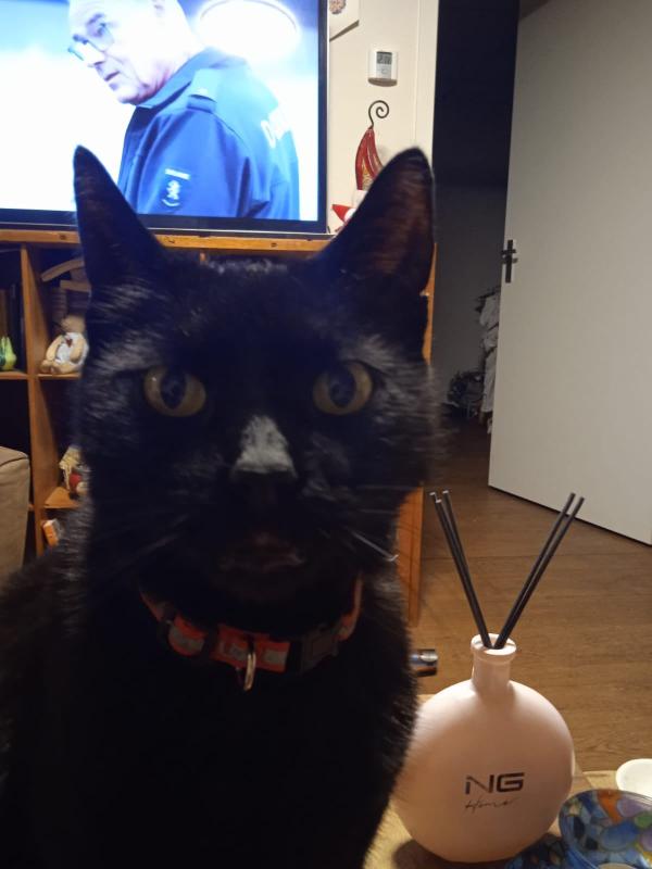 Max