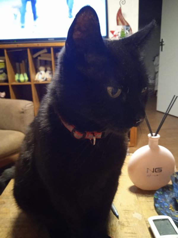 Max
