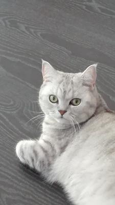 Binky