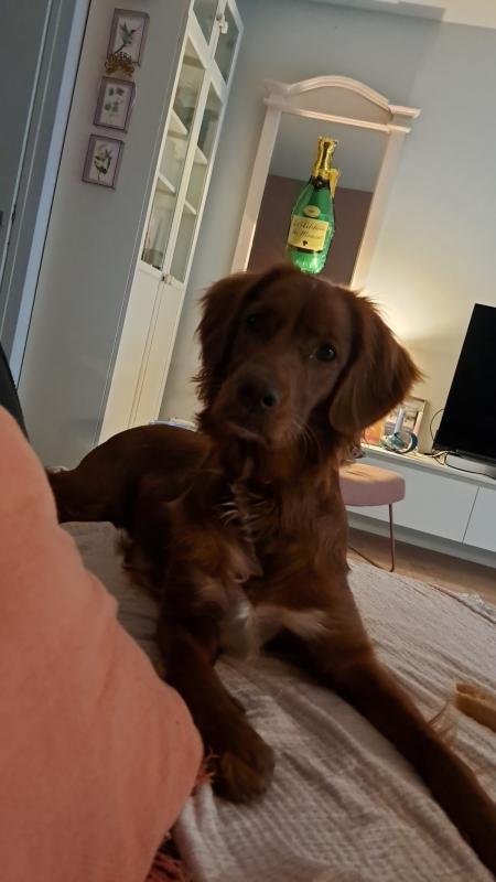 Lotje