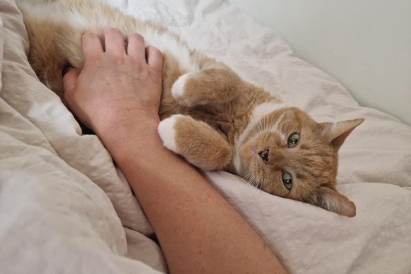 Freddy
