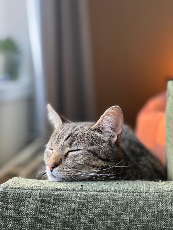 Pablo