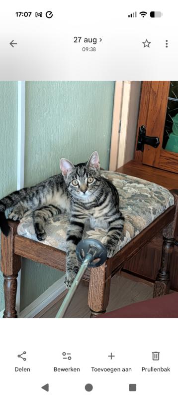 Kiki