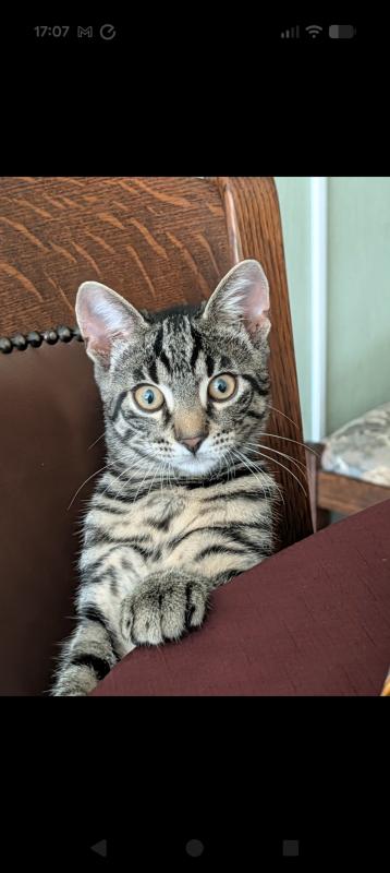 Kiki