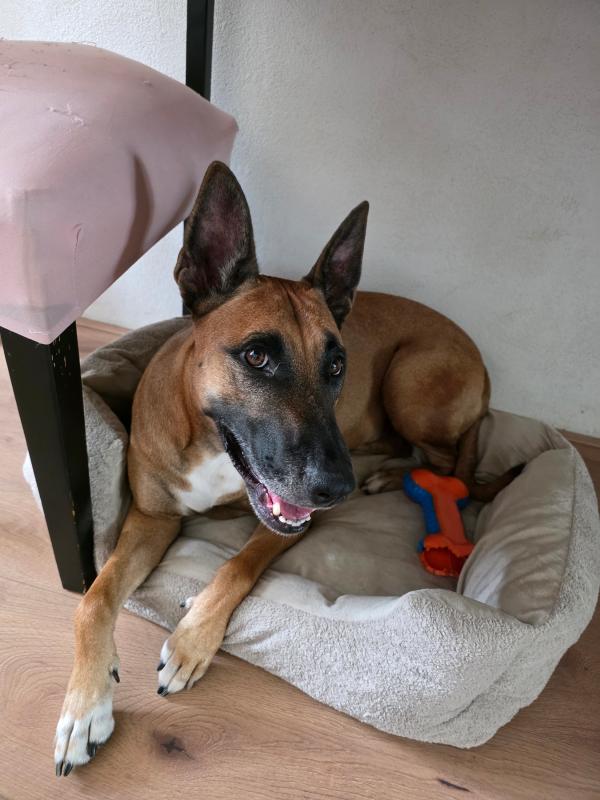 Coco