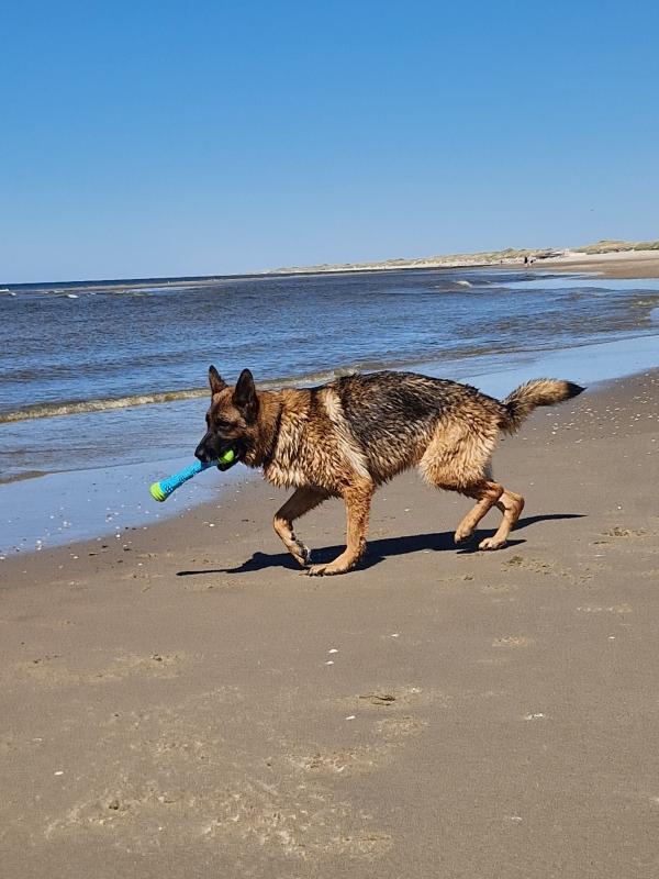 Hera