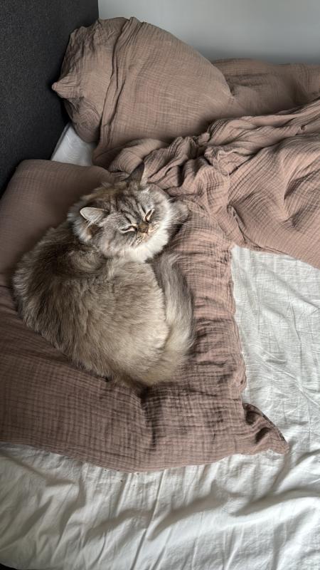 Mia