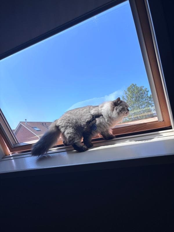 Mia