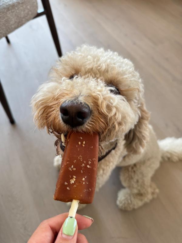 Scoopie