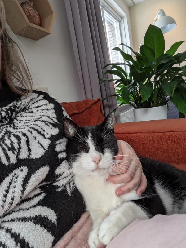 Oreo
