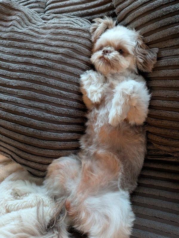 Vinny