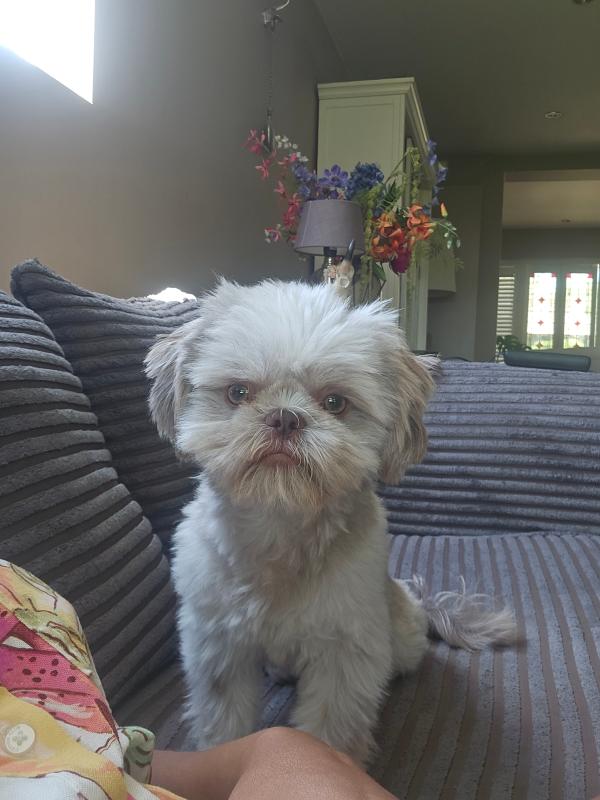 Vinny