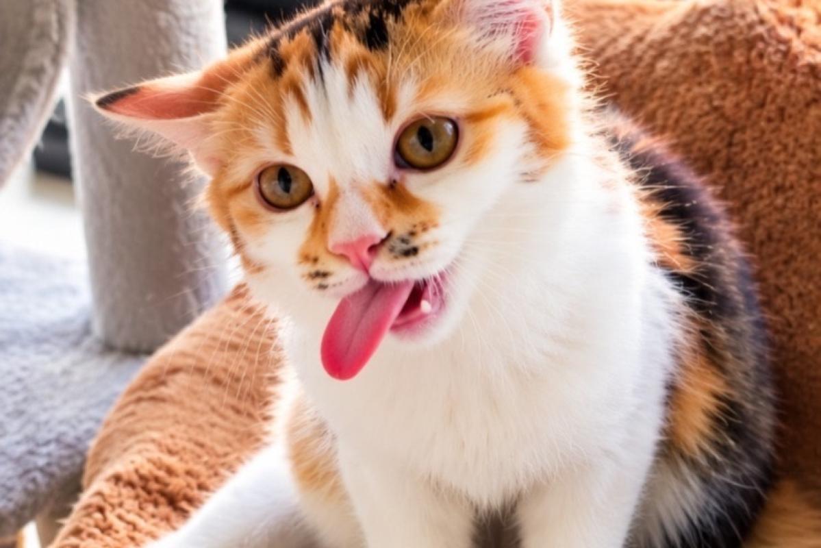Kiki