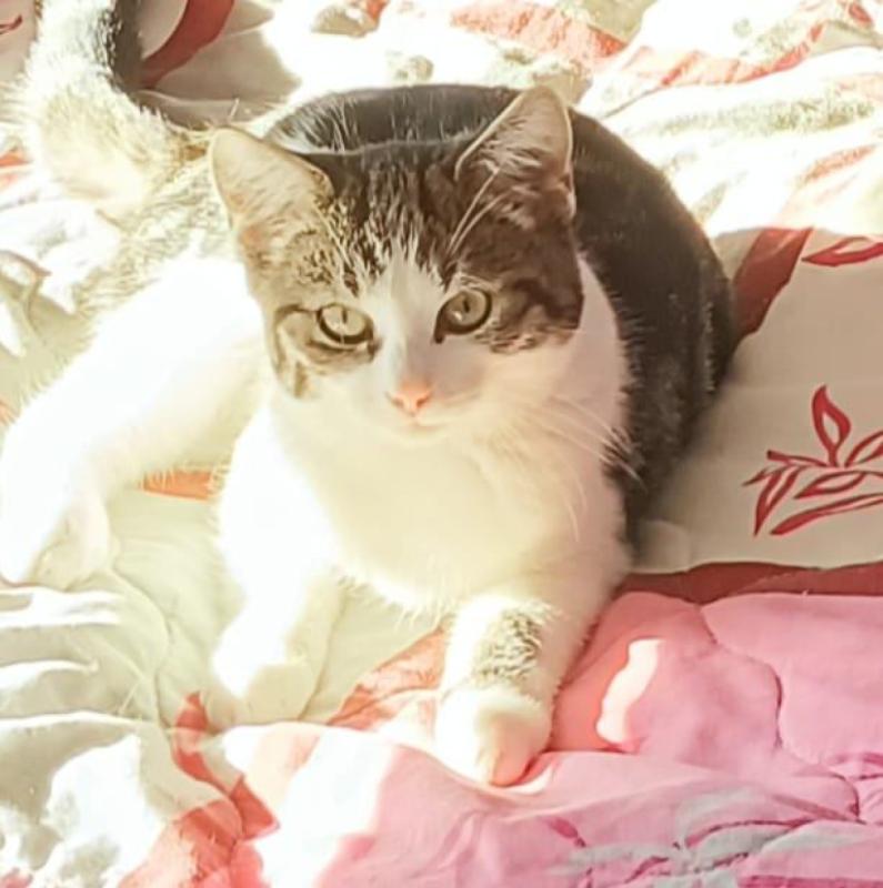 Yuki