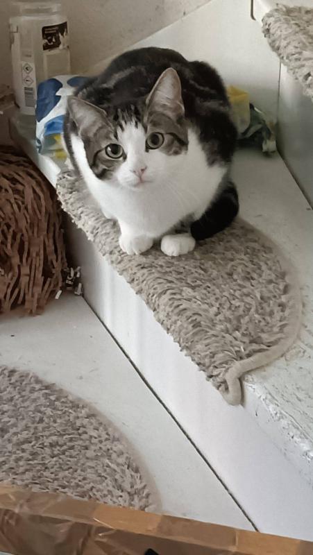 Yuki