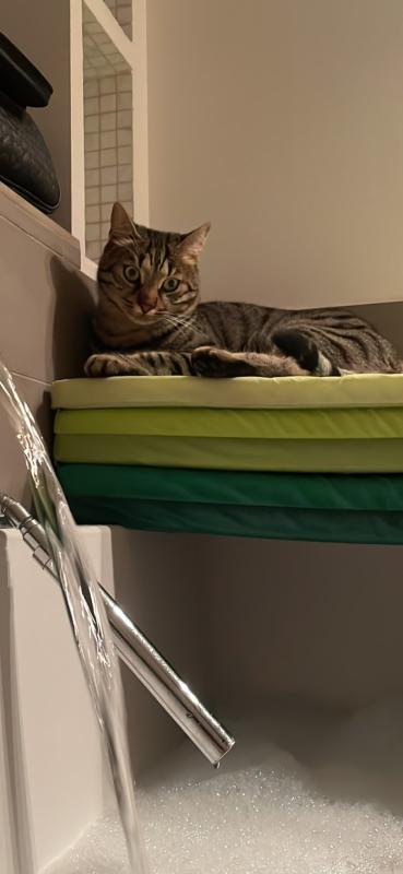 Karel