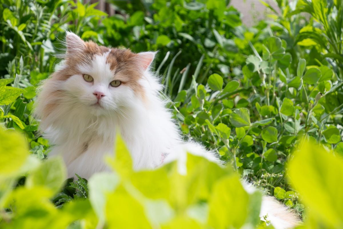 Binsk