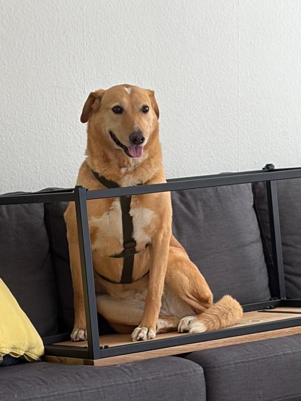 Mia