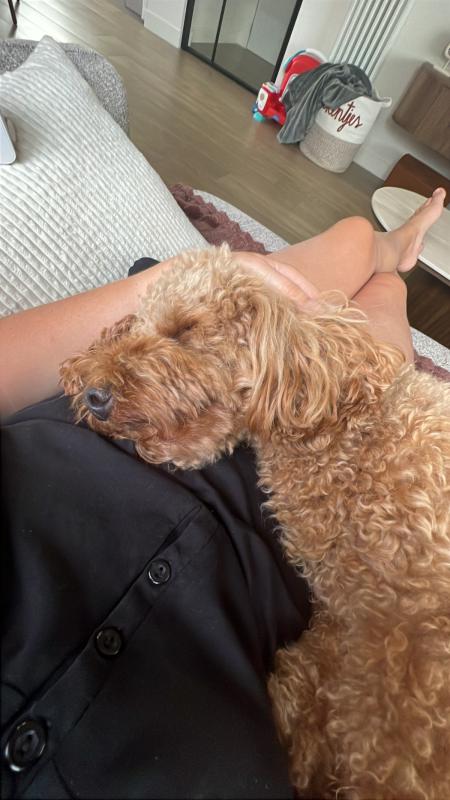 Lou