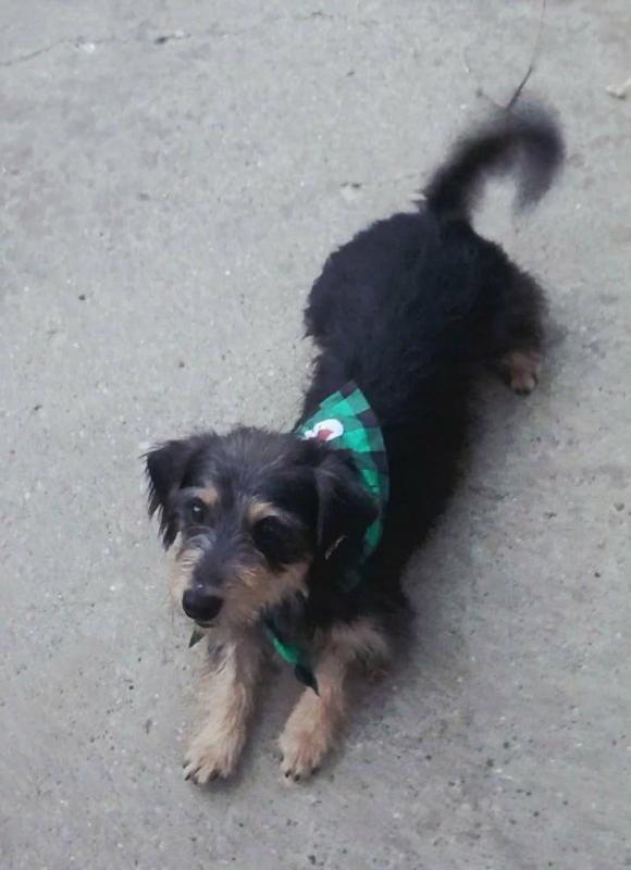 Coco