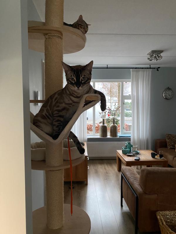 Boy