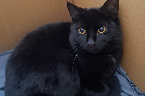 Salem