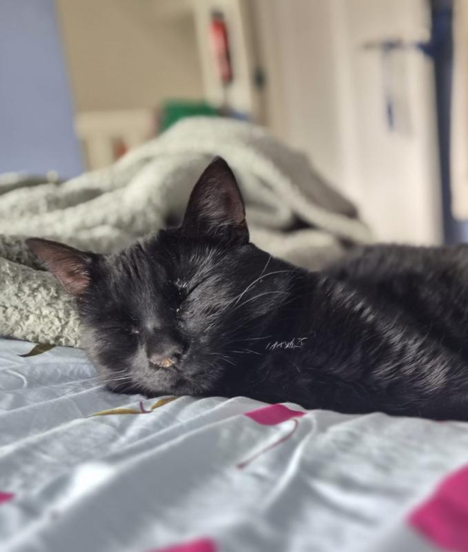 Salem
