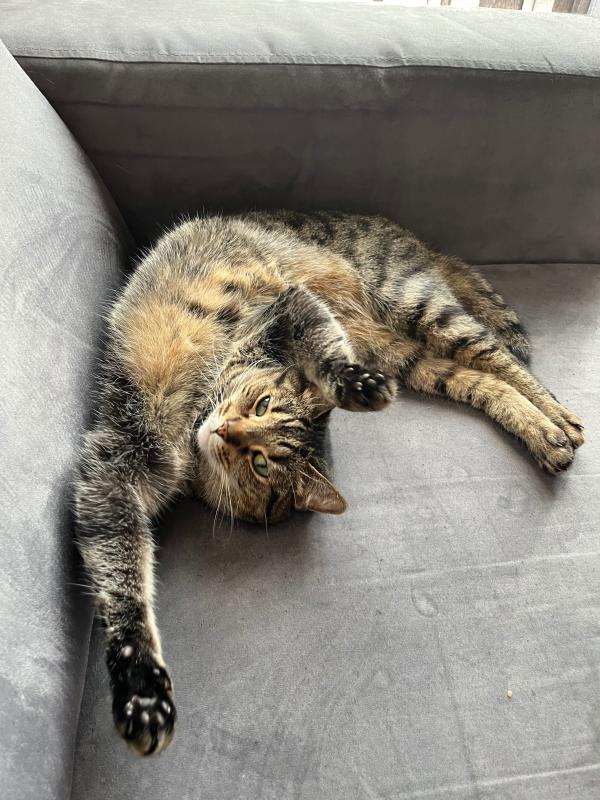 Chloe