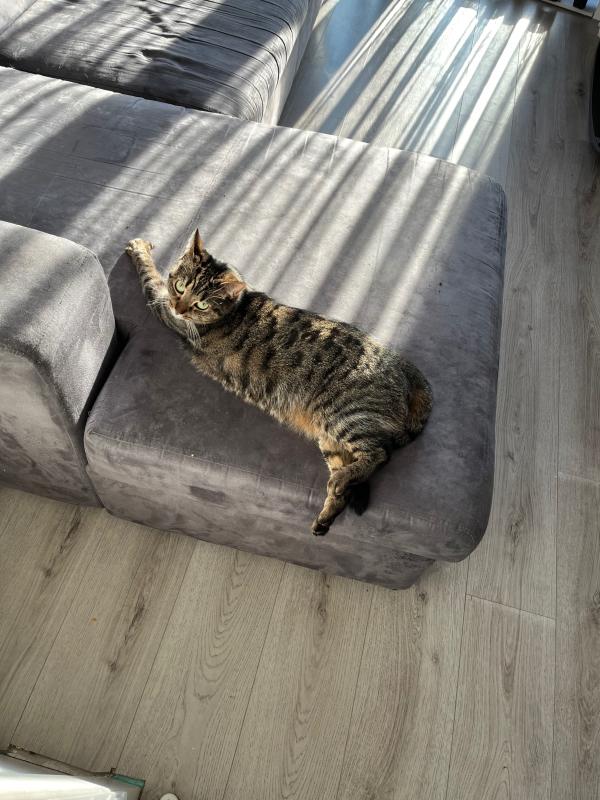 Chloe