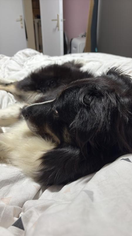 Lucy
