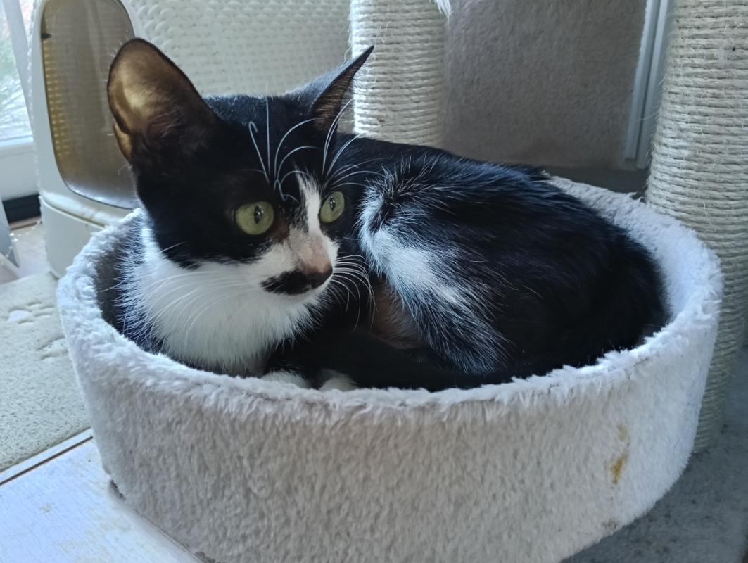 Luna