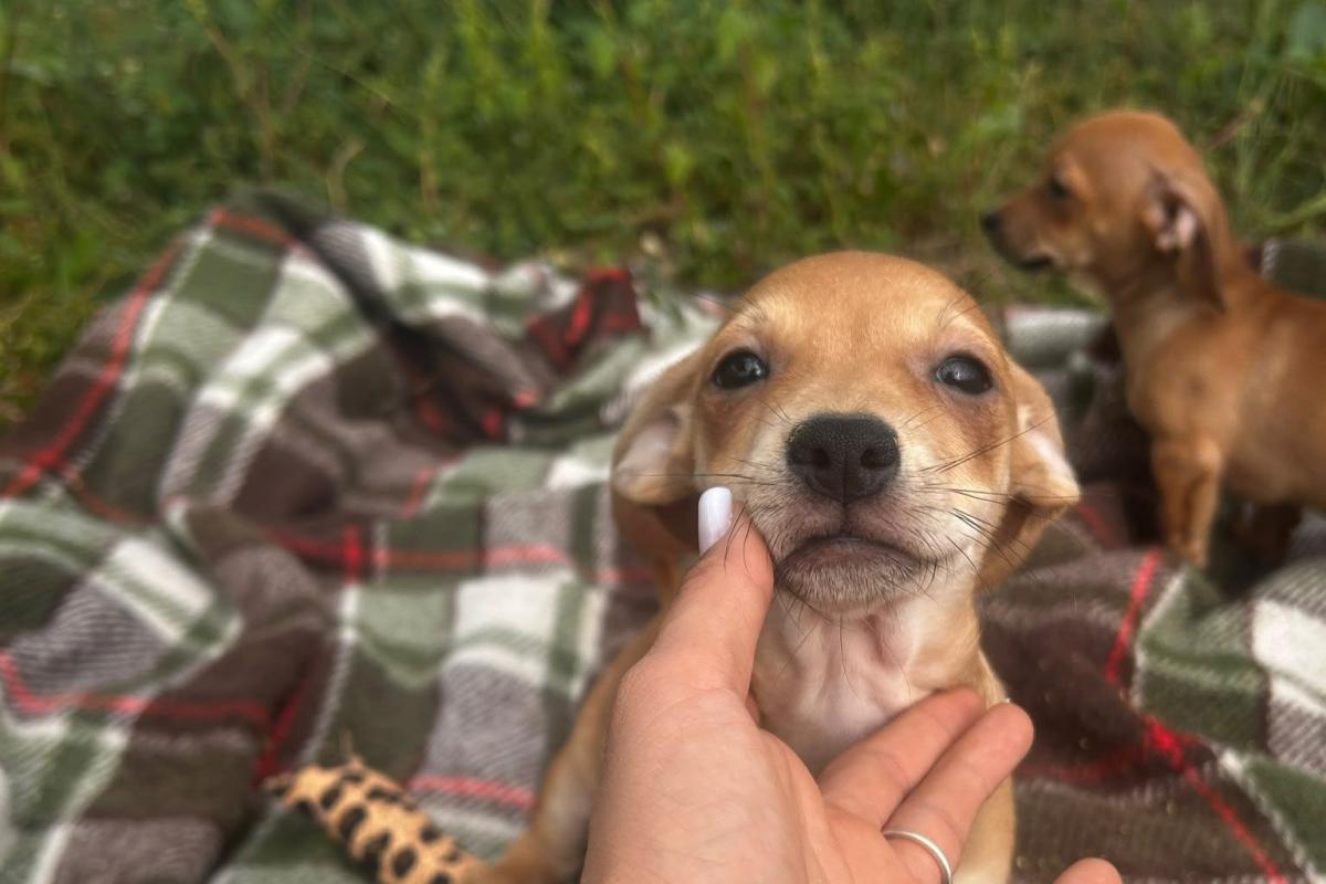 Lena