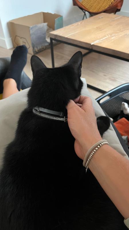 Gijs