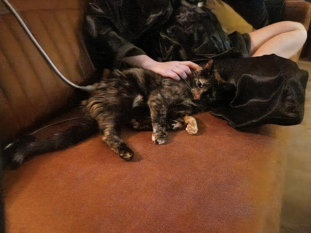 Baby