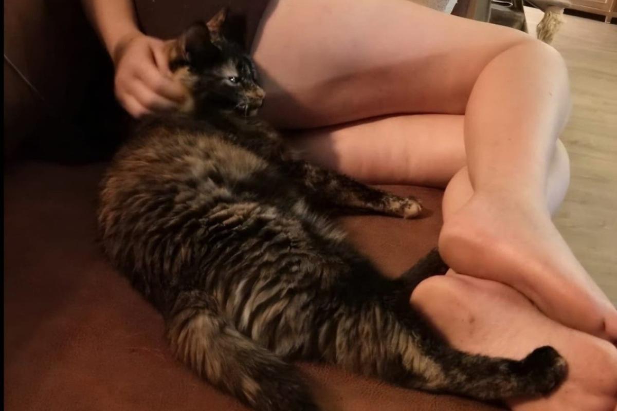 Baby