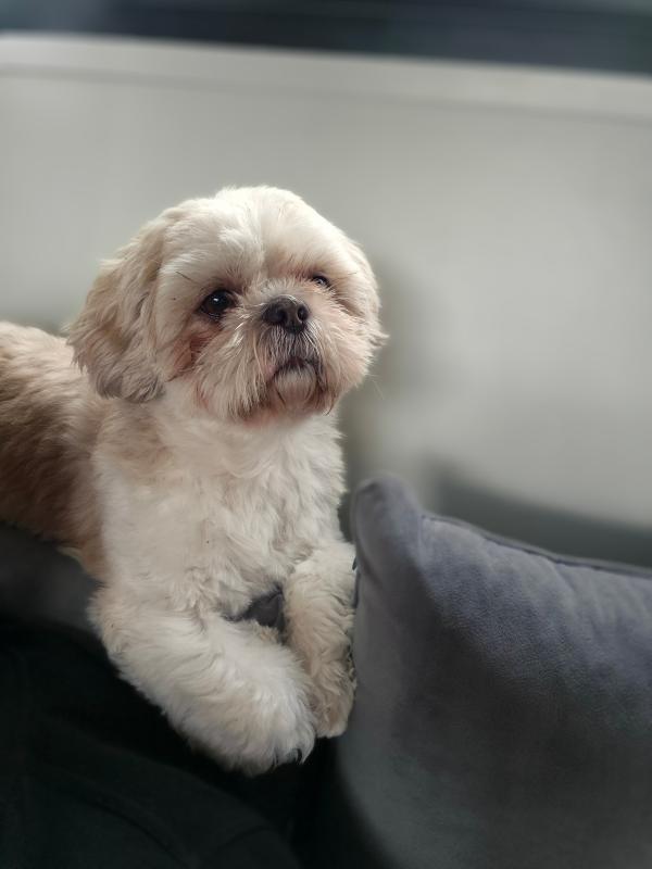 Bobby