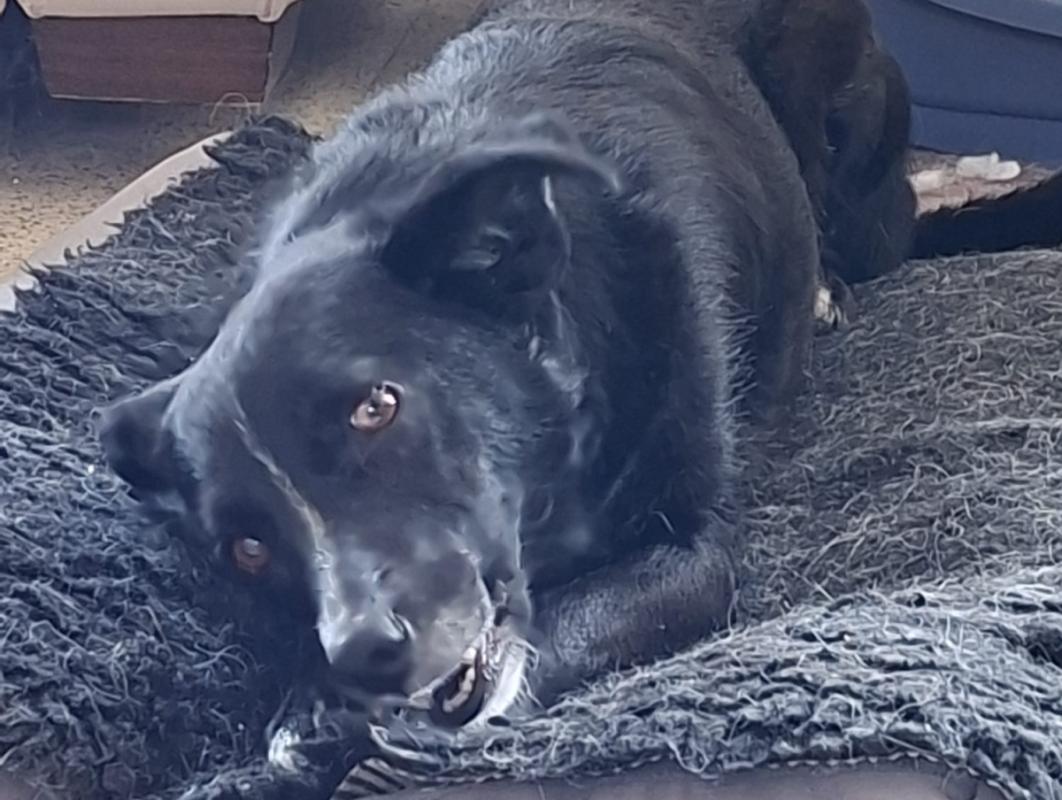 Hilda