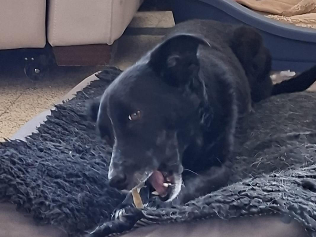 Hilda