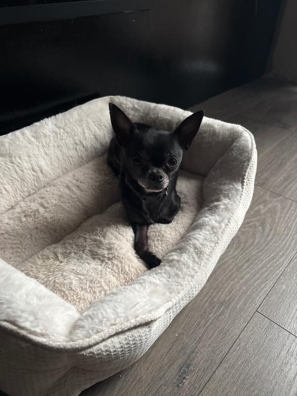 Jax