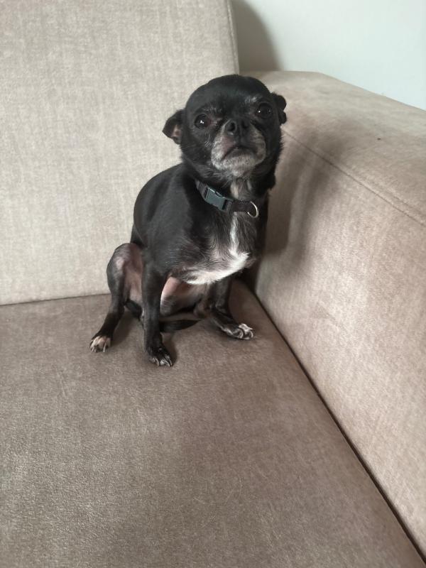 Jax